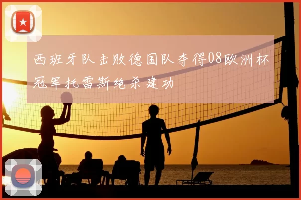 西班牙队击败德国队夺得08欧洲杯冠军托雷斯绝杀建功
