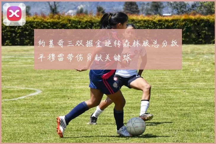 约基奇三双掘金逆转森林狼总分扳平穆雷带伤贡献关键球