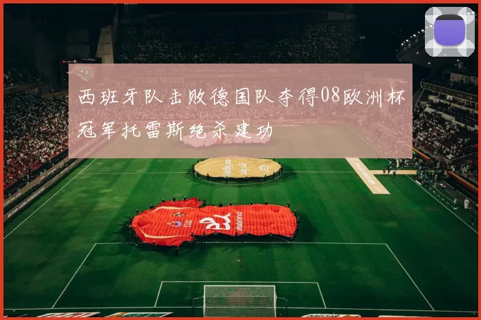 西班牙队击败德国队夺得08欧洲杯冠军托雷斯绝杀建功
