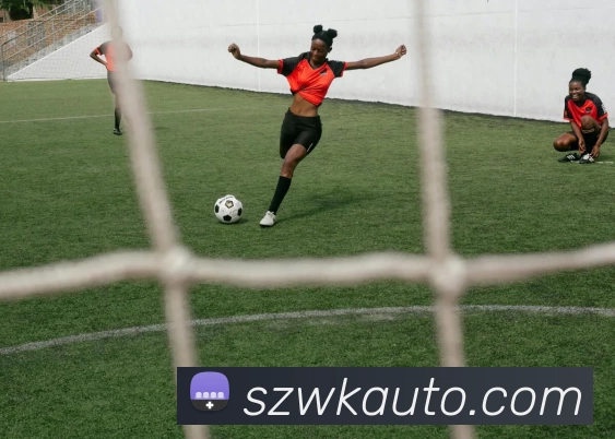 亚搏app登陆·(中国)官方网站平台生态图